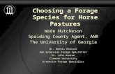 Choosing a Forage Species for Horse Pastures Wade Hutcheson Spalding County Agent, ANR The University of Georgia Dr. Dennis Hancock UGA Extension Forage.