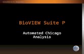 BioVIEW Suite P Automated Chicago Analysis. Automated Chicago Classification Analysis Advanced Analysis Tutorial.
