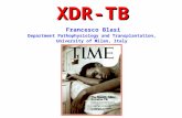 XDR-TB Francesco Blasi Department Pathophysiology and Transplantation, University of Milan, Italy.