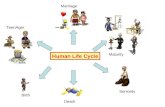 Birth TeenAger Marriage Maturity Seniority Death Human Life Cycle.