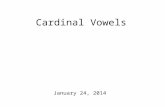 Cardinal Vowels January 24, 2014 Future Plans, Revisited Phonetic feature homeworks are due! Today: Video fun time! (I hope) A few more notes about narrow.