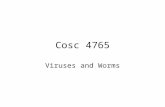 Cosc 4765 Viruses and Worms. Categories Viruses and worms –This lecture focuses on these two. Trojans –Used for remote access of systems –Non replicating.