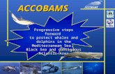 ACCOBAMS Progressive steps forward to protect whales and dolphins in the Mediterranean Sea, Black Sea and contiguous Atlantic Area.