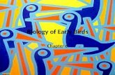 Biology of Early Birds Chapter 6. Neornithes Modern bird lineage Approx 10,000 species Originated 90-100 Mya in Cretaceous.