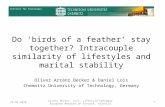 Arránz Becker, Lois: Lifestyle homogamy European Network on Divorce, Valencia Do ‘birds of a feather’ stay together? Intracouple similarity of lifestyles.