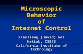 Microscopic Behavior of Internet Control Xiaoliang (David) Wei NetLab, CS&EE California Institute of Technology.