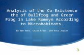 Analysis of the Co-Existence the of Bullfrog and Green Frog in Lake Romeyn According to Microhabitats. By Ben Ames, Chloe Fross, and Ross Julian.