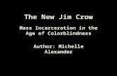 The New Jim Crow Mass Incarceration in the Age of Colorblindness Author: Michelle Alexander.