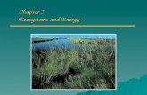 Chapter 3 Ecosystems and Energy. Overview of Chapter 3 o Ecology o Energy First Law of Thermodynamics First Law of Thermodynamics Second Law of Thermodynamics.