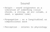 Sound Origin – sound originates as a vibration of something (vocal chords, a string, an air column, a reed, a speaker cone) Propagation – as a longitudinal.