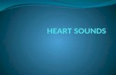 INTRODUCTION Heart sounds are sounds produced by the mechanical activities of the heart during each cardiac cycle. They are due to movements of Blood.