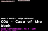 MedPix Medical Image Database COW - Case of the Week Case Contributor: MS-4 USU Teaching File Affiliation: Uniformed Services University.