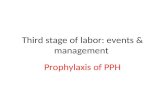 Third stage of labor: events & management Prophylaxis of PPH.