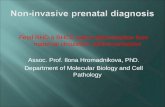 Fetal RHD a RHCE status determination from maternal circulation, alloimmunisation Assoc. Prof. Ilona Hromadnikova, PhD. Department of Molecular Biology.