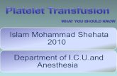 Islam Mohammad Shehata 2010 Department of I.C.U.and Anesthesia.