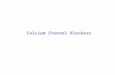 Calcium Channel Blockers. Calcium channels: Types: 1. Receptor operated 2. Voltage gated (operated, sensitive) 3. "Stretch"-operated or "leaky" Ca 2+