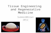 Tissue Engineering and Regenerative Medicine Summer@Brown 2012.