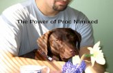 The Power of Proc Nlmixed. Introduction Proc Nlmixed fits nonlinear mixed-effects models (NLMMs) – models in which the fixed and random effects have a.