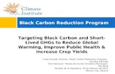 Targeting Black Carbon and Short-Lived GHGs to Reduce Global Warming, Improve Public Health & Increase Crop Yields Black Carbon Reduction Program Linda.