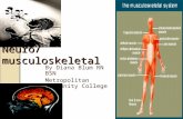 Neuro/musculoskeletal By Diana Blum RN BSN Metropolitan Community College.