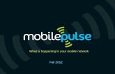 Copyright © 2011 Mobile Pulse, Inc. Proprietary and Confidential. For discussion purposes only. Non-binding Fall 2012 What is happening in your mobile.