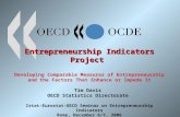 Entrepreneurship Indicators Project Entrepreneurship Indicators Project Developing Comparable Measures of Entrepreneurship and the Factors That Enhance.