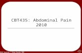 © 2010 Seattle / King County EMS CBT435: Abdominal Pain 2010.