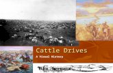 Cattle Drives A Visual History Beginnings of the Cattle Industry of the 19th Century Began with the Spanish in the 1500s… The Spanish explorers brought.