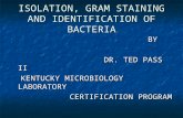 ISOLATION, GRAM STAINING AND IDENTIFICATION OF BACTERIA BY BY DR. TED PASS II DR. TED PASS II KENTUCKY MICROBIOLOGY LABORATORY KENTUCKY MICROBIOLOGY LABORATORY.