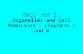 Cell Unit I: Organelles and Cell Membranes - Chapters 7 and 8.