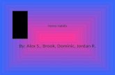 Homo Habilis By: Alex S., Brook, Dominic, Jordan R.
