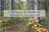 Changes in Ecosystems: Ecological Succession. succession Gradual process of change and replacement in a community.