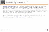 2003© BaRaN Systems LLC. Page 1 BaRaN Systems LLC BaRaN Systems LLC is a leader in providing quality control software and add-ins for Microsoft Excel and.