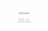 Xylans Xiao Liu 10/22/2010. Big picture Plant cell wall Proteins Polysaccharides Other proteins Structural proteins GRPs HRGPs PRPs Extensin AGPs Cellulose.