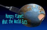 Well that's what photographer Peter Menzel and writer Faith D'Aluisio did for their new book, Hungry Planet: What the World Eats. The husband-and-wife.