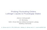 Probing Fluctuating Orders Luttinger Liquids to Psuedogap States Ashvin Vishwanath UC Berkeley With: Ehud Altman (Weizmann)and Ludwig Mathey (Harvard)