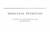 Selective Attention A tale of bottlenecks and basketballs.