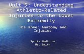 Unit 5: Understanding Athletic-Related Injuries to the Lower Extremity The Knee: Anatomy and Injuries Sports Medicine Mr. Smith.