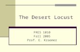 The Desert Locust FRES 1010 Fall 2005 Prof. E. Kraemer.