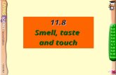 11.8 Smell, taste and touch How do we taste? p.107 - Tongue is the sense organ that detects flavour. many grooves on the surface - Inside the grooves.