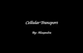 Cellular Transport By: Alexandra. Definition Of Diffusion Diffusion is the movement of particles from a higher concentration to a lower concentration.