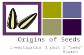 + Origins of Seeds Investigation 1 part 1 “Seed Search”