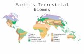Earth’s Terrestrial Biomes. Temperate Deciduous Forest  Average Yearly Rainfall 75 to 125 cm  Average Temp. (Summer: 28ºC Winter: 6ºC)  mammals, birds,