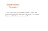 Biochemical Genetics “The study of the relationships between genes and enzymes, specifically the role of genes in controlling the steps in biochemical.