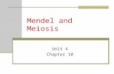 Mendel and Meiosis Unit 4 Chapter 10. Gregor Mendel Austrian monk Studied patterns of heredity (passing on of characteristics from parent to offspring)