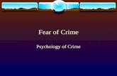 Fear of Crime Psychology of Crime. The Figgie Report (1980)  1. Concrete fear (fear of being a victim of a specific crime),  2. Formless fear (a general.
