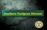 Southern Turfgrass Diseases. Bermudagrass leaf spot.