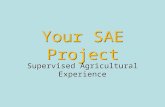 Your SAE Project Supervised Agricultural Experience.