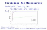 Multiple Testing and Prediction and Variable Selection Class web site:  Statistics for Microarrays.
