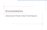 1 Econometrics Advanced Panel Data Techniques. 2 Advanced Panel Data Topics Fixed Effects estimation STATA stuff: xtreg Autocorrelation/Cluster correction.